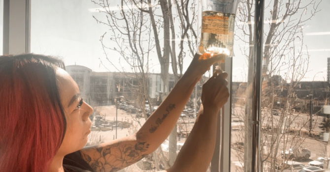 What Is IV Therapy And Why More People Are Choosing It for Their Wellness Journey image