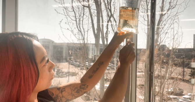 Consultation (Infusions & Booster Injections)